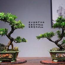 Ʒ_hɘ辰ϘʹСԾGֲk҃ȿ͏dͥԺB