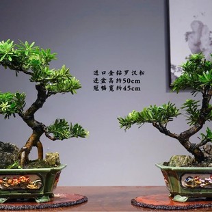 �_�h�ɘ����辰�Ϙ����ʹ�С���ԾGֲ��ȿ͏dͥԺ���B��ľС�~