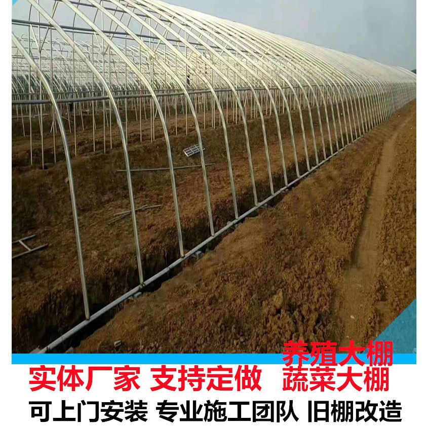 山东简易大棚 带薄膜简易大棚薄膜 蔬菜大棚 防雨大棚 安转方便