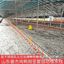 全套鸡用自动水线饮水器养殖设备养鸭用品鸡用自动饮鸡鸭水线配件