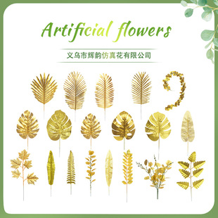 �����ɫ�����~ ��Y�����b����ȼ���ɢβ�����~�����������~