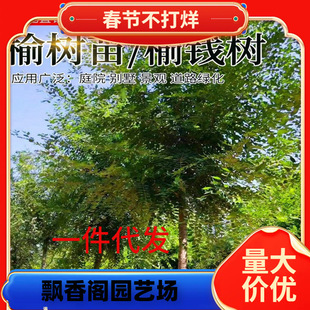 һ�����l�ܘ����ܘ�С����ܼ������X��e��ͥԺ��·�G����������