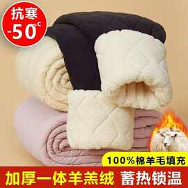 东北特厚羊羔绒羊毛内穿棉裤保暖裤女高腰秋季冬季加绒加厚打底裤