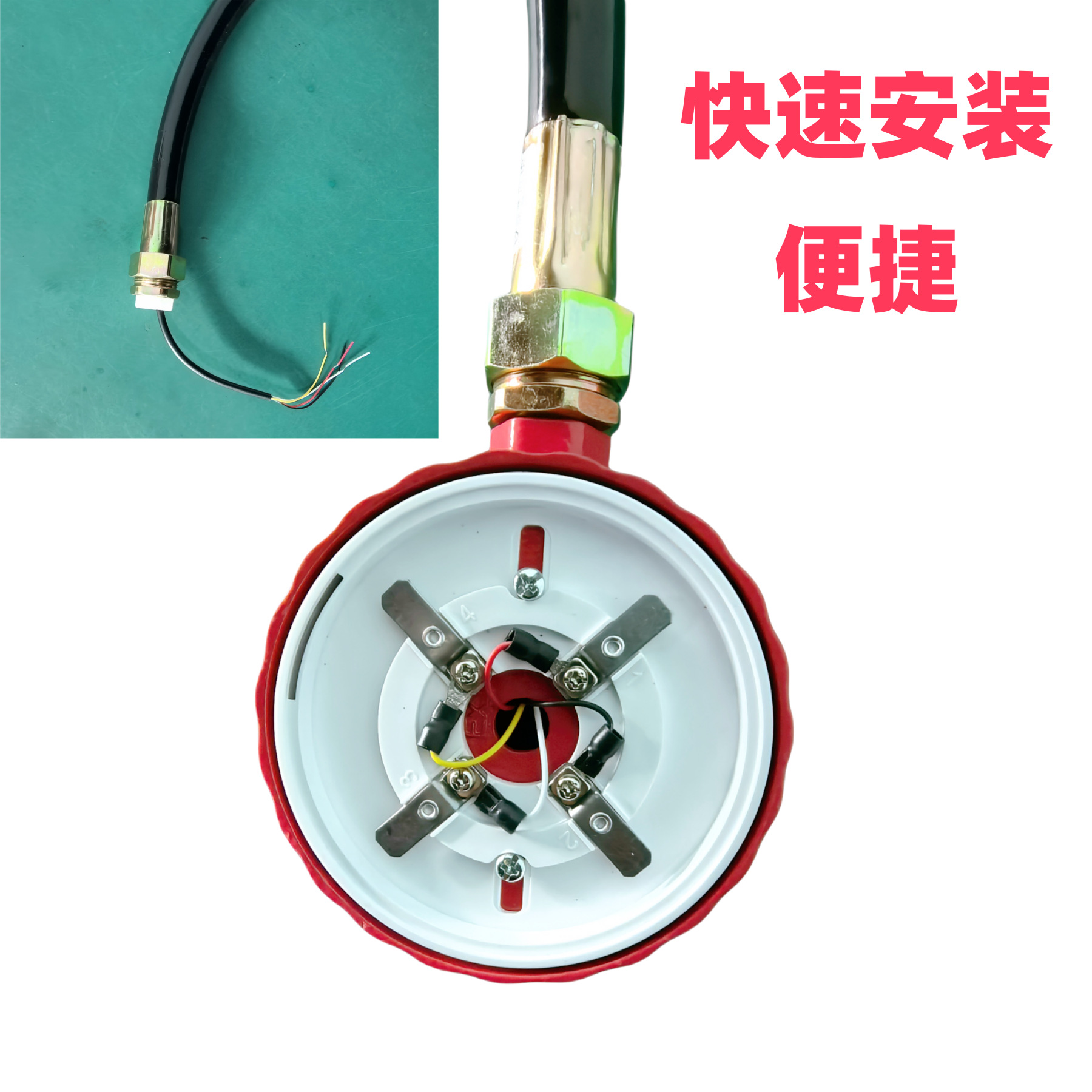 IMG_20250311_104155_副本