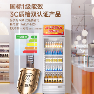 һ����Ч�������չʾ����ʽ���T���ñ��r����ϙ�SC-387NE