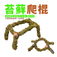 �������������̦�\����޽��،m�ľ�з����������֧���ٗl�쾰