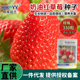 ���ͼt��ݮ�N��ʳ����������ݮ��ͥ�ˈ@�̨�����ˮ���߲˷N��