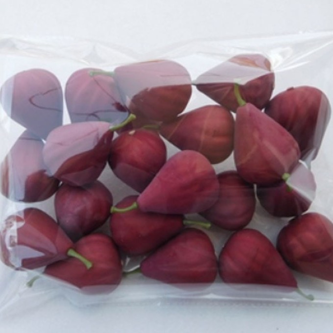 5cm fig 20
