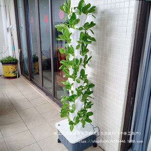 �̨ˮ���w�Nֲ���o�������ӟo�������������Ի��@�������������]