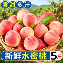 ����ˮ�������rˮ�������֭���Ӵ��Ү����ЋD����ʳ�������l�Fժ