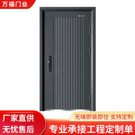 钢制房门入户防盗安全门防火阻燃门子母门非标金属大门非铝合金门