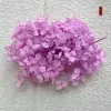 Taro purple