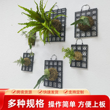 �Ӻ�¹��ާ�� ֲ����ʯ��ާ�����ֲ������װ��Ʒֲ����԰�չҰ�