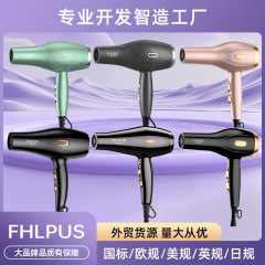 ヘアドライヤー家庭用ヘアサロン大出力風力電気ドライヤー冷熱風小家電器ドライヤー卸売り