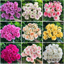 .�r�����]���ֱ�l���տ���ˮ�ٺ�õ�����r�����滨����ֱ���Y