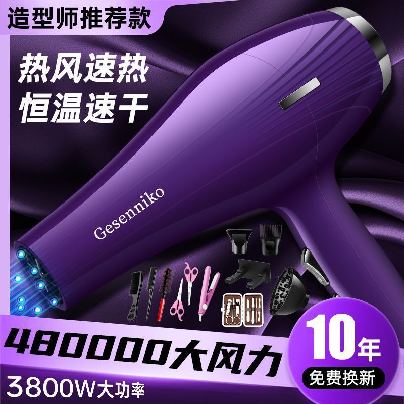 Hair Salon Hair Dryer High Power 3800 Barber Shop Dedicated 6000 Household Constant Temperature 9900 Negative Ion Silent W
