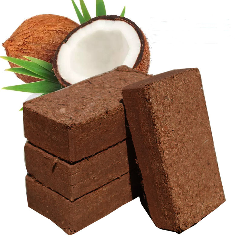 Coconut Brick Nutrient Soil Flower-growing Universal Coconut Soil Flower-growing Vegetables Meaty Soil Coconut Coconut Shell Desalting Large Block Brick Soil Coconut Brick Nutrient Soil Flower-growing Universal Coconut Soil Flower-growing Vegetables Meaty Soil Coconut Coconut Shell Desalting Large Block Brick Soil