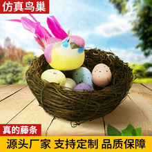 ���澎���B���ٗl�ֹ��B�C��ˇƷ����ͥԺ�b��B�ݱ�ů�F؛���S