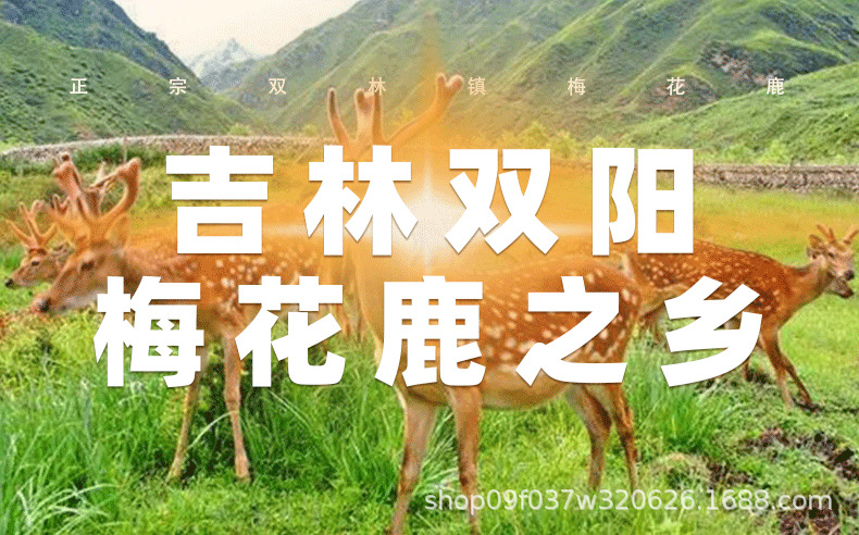 Whole Deer Honey Pills Quan Lu Mi Wan Traditional Herbal Wellness Supplement 250g Bottle overview