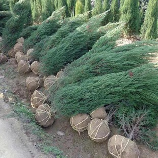 ��u�ش̰،������ɰ؂Ȱ����ر������Ĺ���ɒ�Ĺ�Ɉ@�־G����ľ