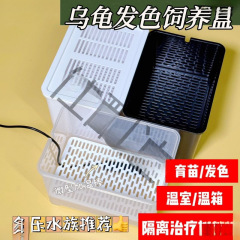 乌龟发色盒幼龟孵化饲养盒蛋龟加温黑白隔离龟苗饲养套盒带沉淀板