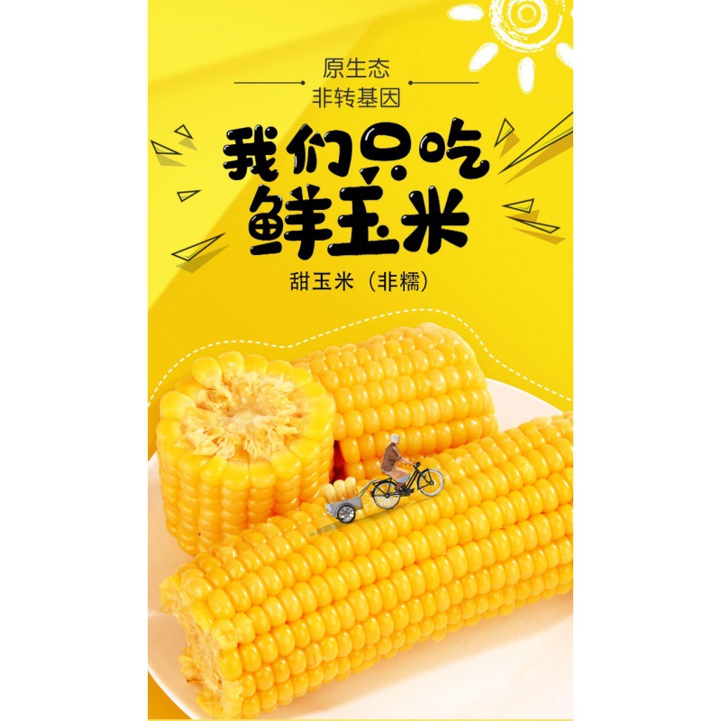 precooked and ready to be eaten Corn Guangxi fruit Sweet corn Open bags precooked and ready to be eaten Substitute meal vacuum Corn Cob student Full container fresh