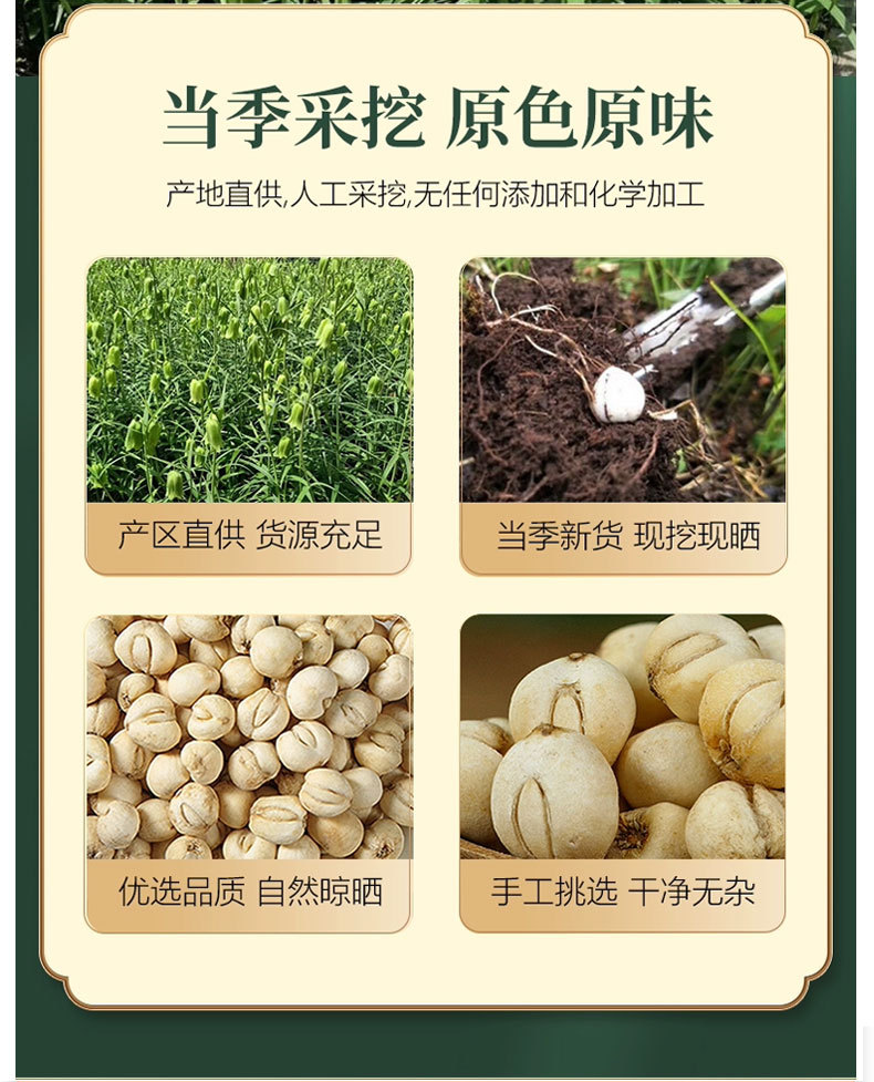 川贝母详情页_07