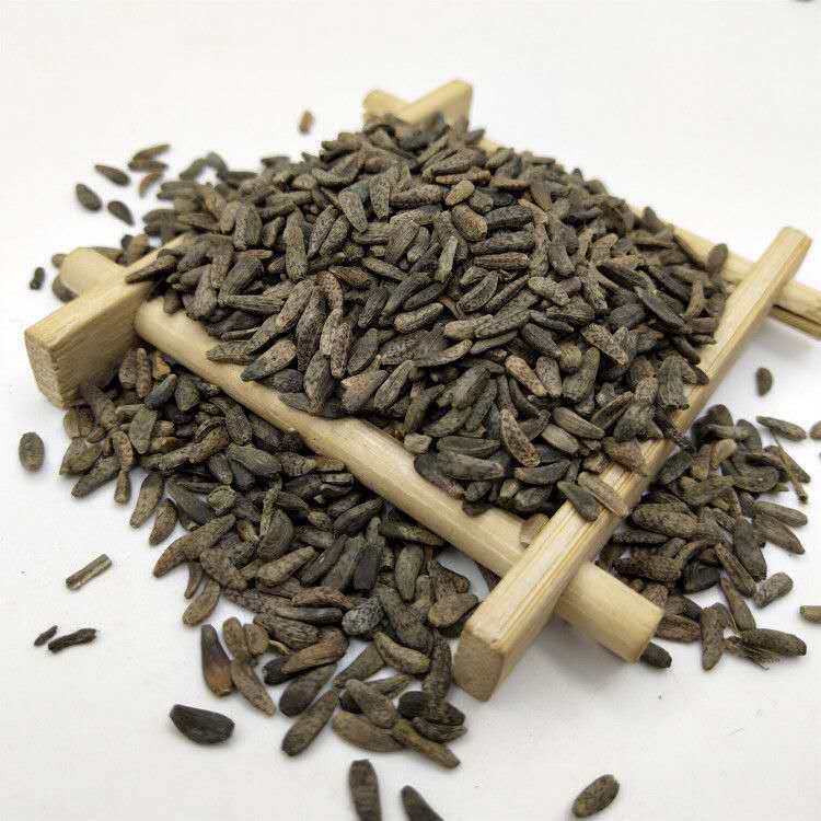 Great Burdock Seed 500g Niubangzi Dried Arctium Fruit Slices for Herbal Tea and Decoction preparation