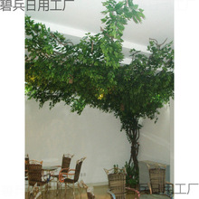 �����Ř��~���ͼ٘���ٗl�b����͘�֦�҃�����ܵ����ӵ�픾Gֲ