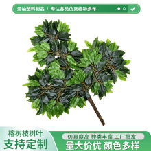 �����Ř��~�^�z�Ř�G�����b����ϗU�٘�֦����Gֲ�٘��쾰���~