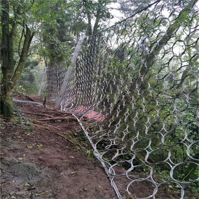 被动防护网 被动边坡防护网 柔性被动防护网