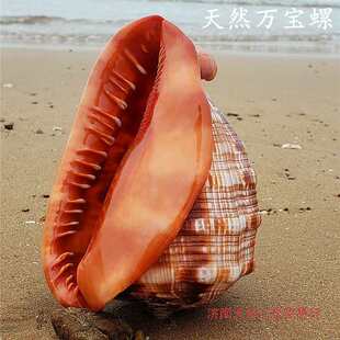 ����YƷ�ҾӴ��ݵҬuzx�����~���쾰�Ĵ���Ȼ�������f��ɺ��