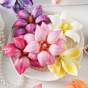 ������z��ľ�m�����滨�^�nʽΨ���^�����ֹ����仨�hDIY�b�