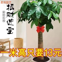 lؔԿ͏dֲ҃_IwͶYkҾGֲwl