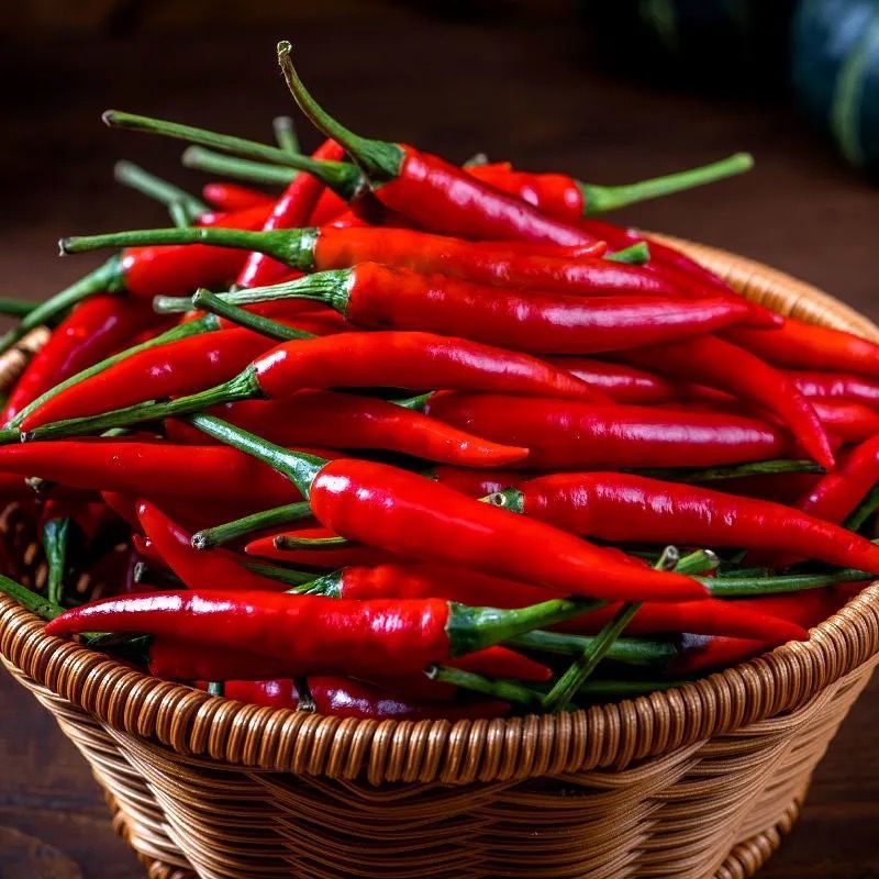 millet fresh wholesale Special spicy Chili peppers Red Hot Chili Peppers pickled pepper Red Hot Chili Peppers Place of Origin Straight hair
