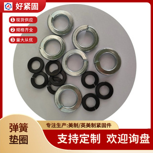 4#5#6#8#10#1/4~1-1/2���Ə��|ȦӢ���i�o�|Ȧ/�l�����ˉ|Ƭ