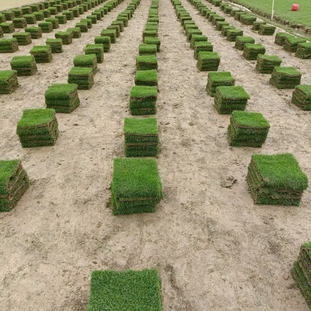 a4541fe176ade43e7d72b46e9c42d7