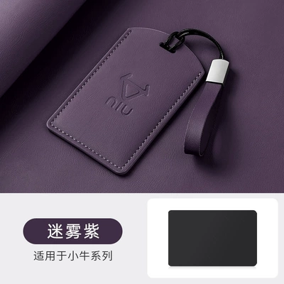 lanyard, card holder, special key pouch, Car key bag