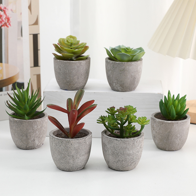 Pulpa artificial suculento bonsai planta verde bonsai chino decoración del hogar Decoración de escritorio mini pequeño bonsai árbol de simulación