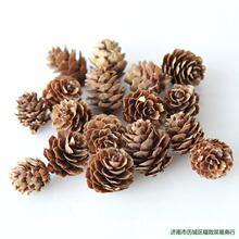 diy�����ɹ�ľƬ���~�ɻ��ɹ��M���}�Q�b�׃��@�b[���͹ŵ���