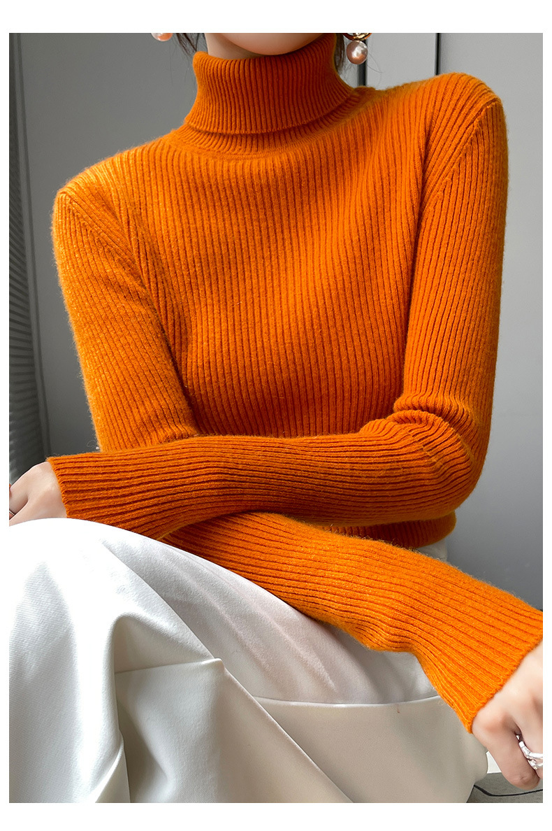 Women's Clothing High Neck Sweater Solid Color Thick Long Sleeve Slim Fit High Elastic Knitted Base Layer Winter Innerwear_ecoleips.com