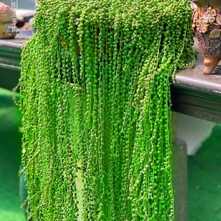 �������˜Iһ��һ�ĵ��m���Ԏ����Ժô����麟�տƶ���ֲ�������