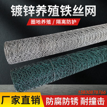 �廨�F�z�W������B�~�~�\���z�����F�z�������P�W���ה����;W