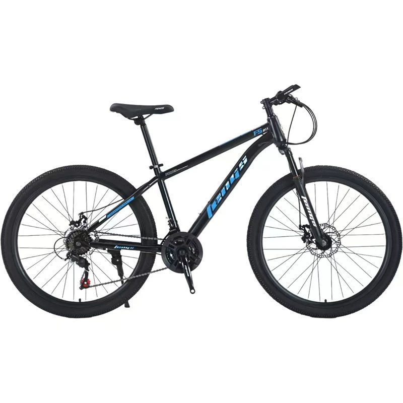 Mountain quality Phoenix, bike, bearing