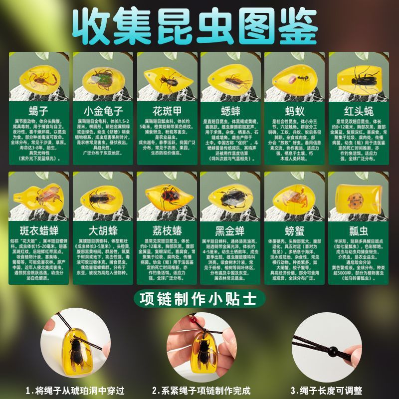 考古学発掘おもちゃ宝石琥珀昆虫 diy 掘削ブラインドボックス恐竜化石掘削宝物子供の知育玩具|undefined