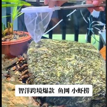 ��sС�r�� �~�W���r�W ˮ��ƾW ��s�~���r���S���r�ƾW