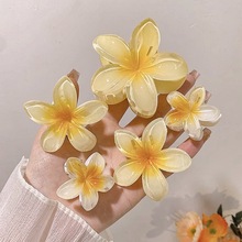 跨境彩色鸡蛋花发夹女花朵抓夹氛围侧抓半抓后脑勺盘发鲨鱼夹批发