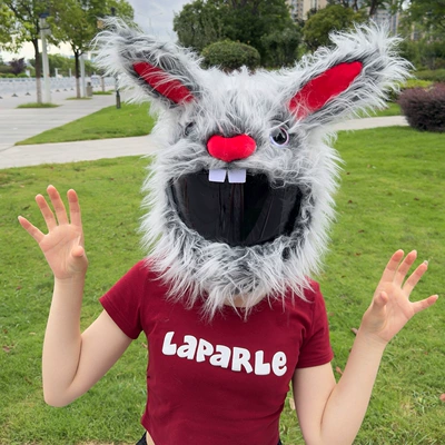 New Style Helmet Case Cute Cartoon Scratch-resistant Plush Headgear Full Helmet Expiece Helmet Warm Motorcycle Helmet Case No Helmet