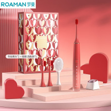 �_��ROAMAN늄���ˢ������H���bܛë����������늄���ˢT40