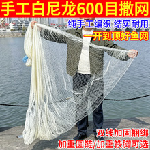 �ֹ������Ӵּ����֒��W���W�O�W����W�~����ɵ�ϾW����朗l�O��